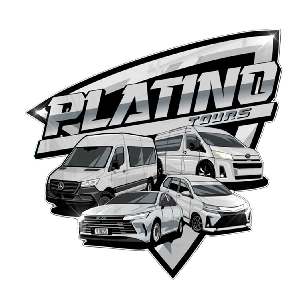Platino Tours